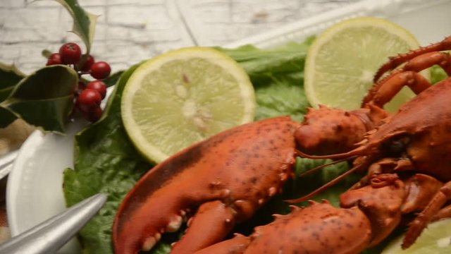 Homarus Lavagantes Astice Bogavante Homard Hummer Lobster Video Lobsters