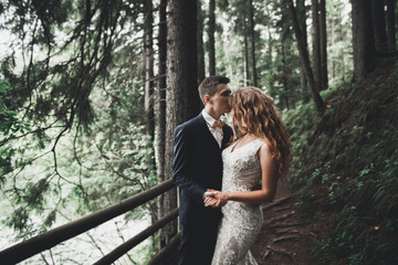 Elegant stylish happy brunette bride and gorgeous groom on the background of a beautiful river in the mountains