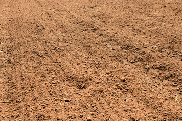Newly ploughed field ready for new crops