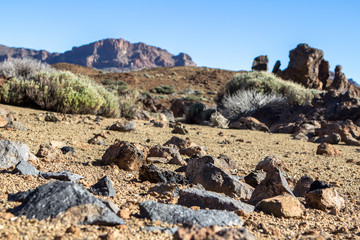 Lava Field on Tenerife, Spain