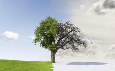 Seasons change