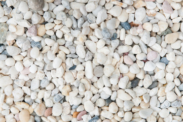 Sea stone in the park.