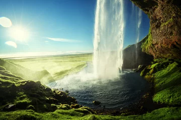 Poster Seljalandfoss waterfall in summer time, Iceland © Iakov Kalinin