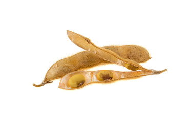 Fototapeta premium pods of soya isolated on white background
