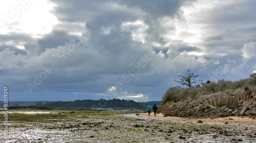 Un Couple Qui Promène Son Chien Sur Une Plage En Bretagne