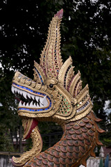 Guard Dragon at Temple, Chiang Mai, Thailand