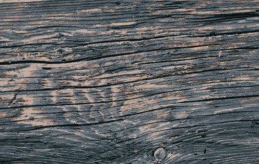 Vector texture of old wood.
