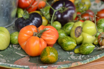 Magasin bio vert legumes terre planete culture agriculture agriculteur tomates