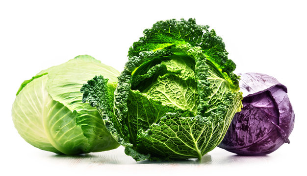 Three fresh organic cabbage heads isolated on white