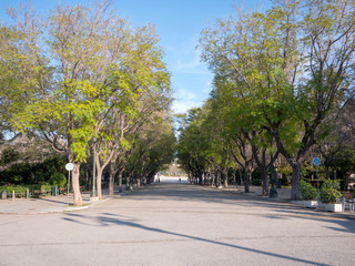 National garden of Athens City, Greece