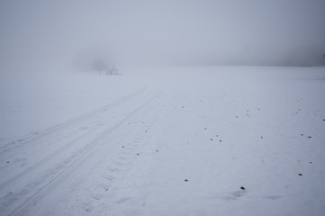 Winterlandschaft im Nebel