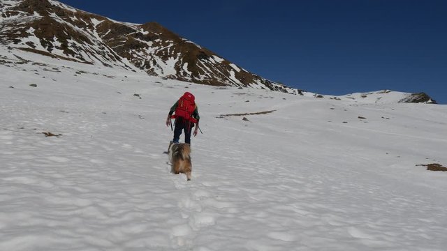 Trekking in inverno con le ciaspole sulla neve