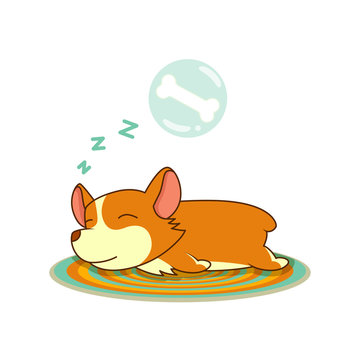 Welsh corgi vector image isolated in white background. Small sleeping funny animal. Hand drawn puppy.