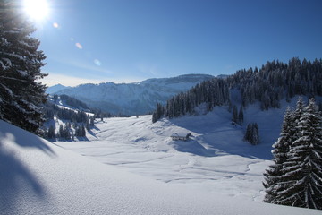 unber&uuml;hrte Winterlandschaft - Blick auf die verschneite Dinig&ouml;rgenalpe - Allg&auml;u - Bayern - Deutschland