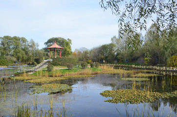 Небольшое озеро в санатории 