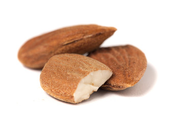 sweet almond drupes