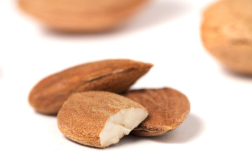 sweet almond drupes