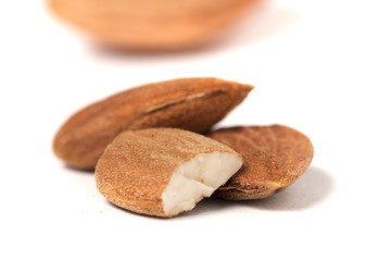 sweet almond drupes