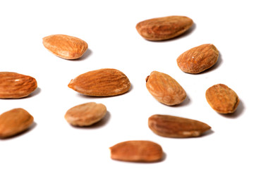 sweet almond drupes