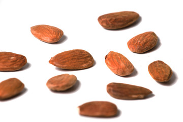 sweet almond drupes