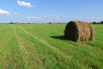 Bales of straw in the middle zone of Russia