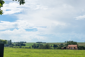 Campo 