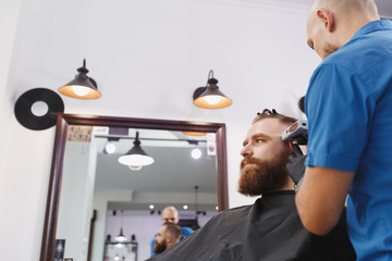 Fototapeta na wymiar Male professional hairdresser serving client by clipper. Ginger handsome brutal stylish young man with thick big beard and short hair getting trendy haircut in black cape. Light white barber shop room