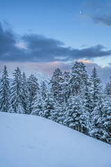 Fototapeta na wymiar Tief verschneite Winterlandschaft