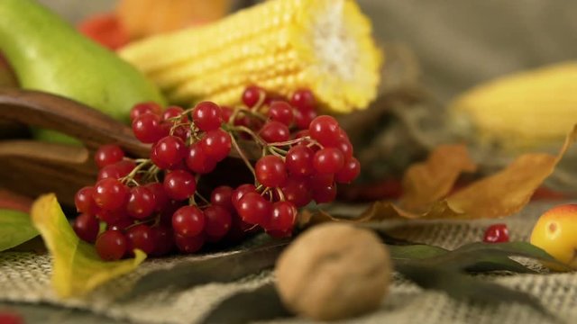 Autumn vegetables, berries and fruits. Seasonal autumn food - pumpkins, corn, apples, pear, viburnum, physalis. Slow motion. three perspectives.
