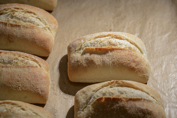 Freshly baked wheat flour with crispy crust on a baking tray