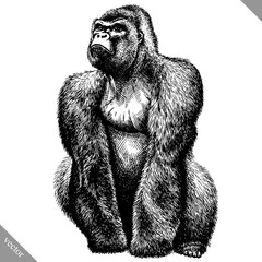 Obraz premium black and white engrave isolated monkey vector illustration