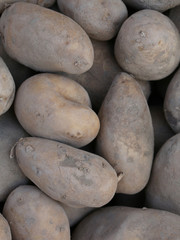 background of many potatoes