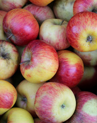 background of red ripe apples ath local fruits market