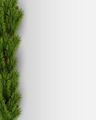 Vector background with Christmas tree Branches and pine cones. Vector christmas border