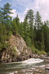 Obraz premium Rapids on wild mountain river. Chaya river, North Baikal Highlands, Siberia, Russia.