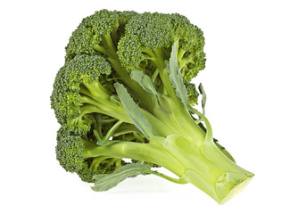 Broccoli cabbage on a white background