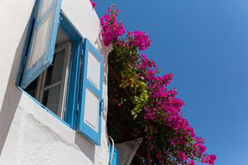 Rhodos, Griechenland © Mike Hans Steffl