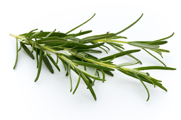 Fototapeta premium Rozmaryn na białym tle na białym tle, widok z góry.