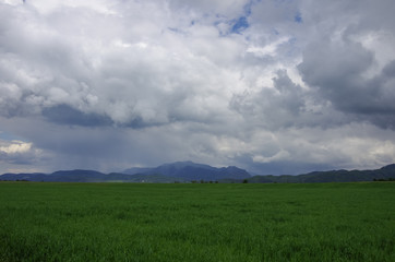 Obraz premium Green meadow with Fagaras mountains range at background, cloudy sky. Carpathians, Romania, Europe