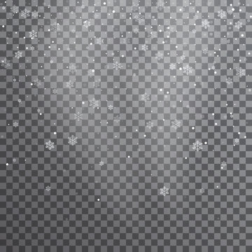 Snow. Vector transparent realistic snow background. Christmas and New Year decoration. Snow blizzard snowstorm background