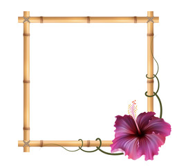 Realistic bamboo frame with hibiscus flower.