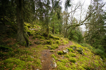 Saar-Hunsrück-Steig - Kirschweiler Festung