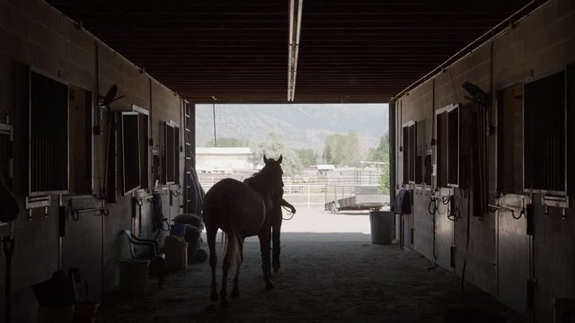 Wide slow motion shot of girl leading horse from stable / Lehi, Utah, United States