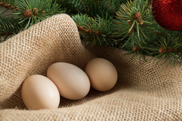 chicken eggs on old linen burlap lying under the Christmas branch tree