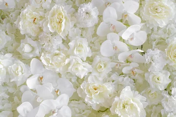 Rolgordijnen Bloemen White flower background
