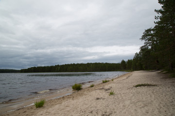 Beach at the lake Suomunjärvi, Patvinsuo National Park, summer 
