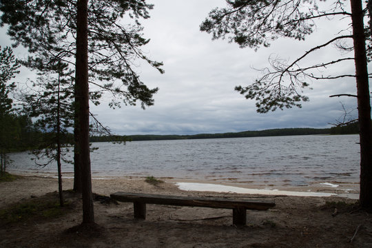 Beach at the lake Suomunjärvi, Patvinsuo National Park, summer 