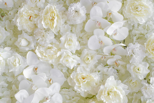 Fototapeta White flower background