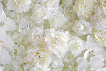 White flower background - 183538834
