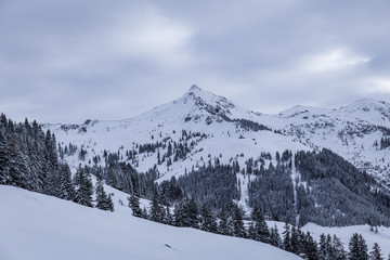 Berglandschaft im Winter mit Blick auf den Gipfel